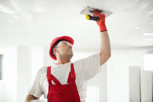 Best Ceiling Drywall Installation  in Westover, WV