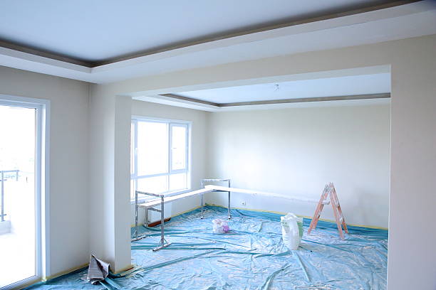 Best Drywall Removal and Disposal  in Westover, WV